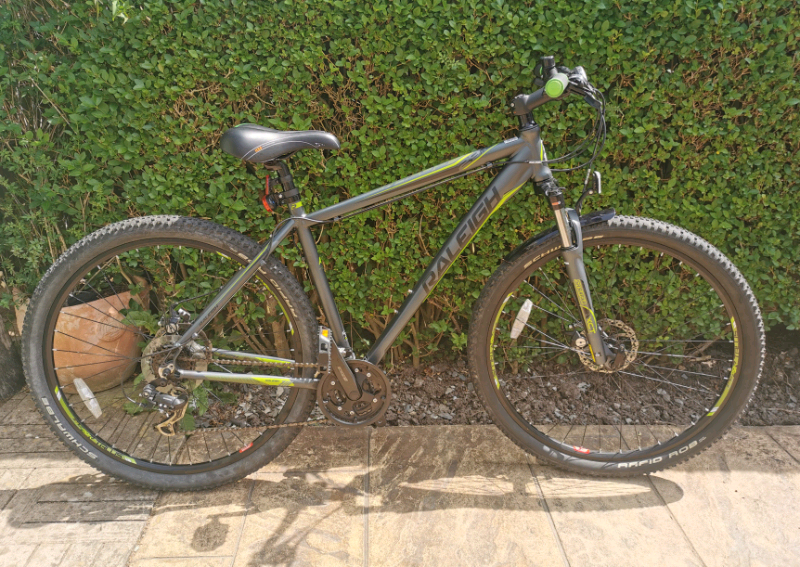 raleigh talus 29